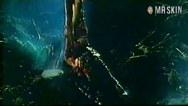 Dangerous Seductress 1992 Nude Scenes Pics Clips Ready To Watch Mr Skin