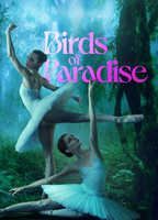 Birds of Paradise