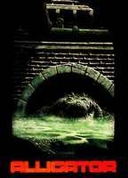 Alligator