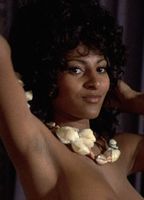 Pam Grier Nude - Will We See It Again? | Mr. Skin