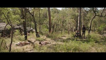 KillingGround-Coupland-Strange-HD-01-large-1.jpg?quality=80&width=360&s=d4a19dbce5d812a71eacd380e0caa43299d64d4ed0b4b222a590aa9d4c7363ea