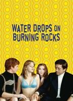 Water Drops on Burning Rocks