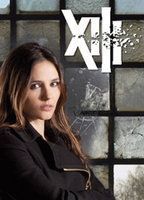 XIII: The Series