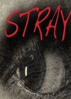 Stray