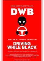 Driving While Black